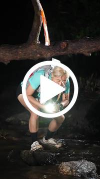 BIB:  <button type="button" onclick="openModal(27512379)" class="btn btn-primary btn-sm float-right" data-toggle="modal" data-target=".modal-high-quality">
                <i class="fa fa-download"></i> Download
                </button>